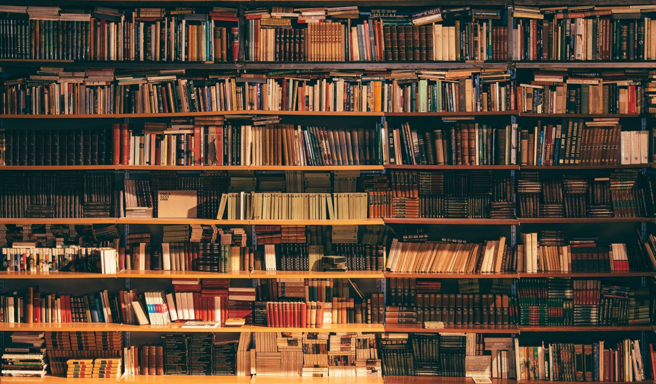 Shelves filled with books. 