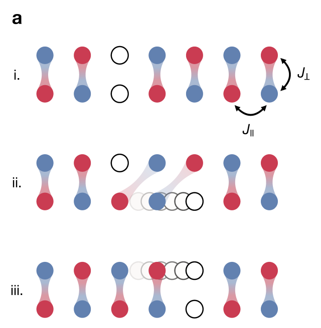 Representation of a binding mechanism in a magnetically ordered system.