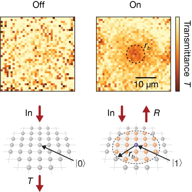 Graphic illustrating scientific results. On the left, the optical mirror is tuned to the “off” state, with the atomic array being transparent (T). On the right, the optical mirror is turned “on” and reflects the incoming photons (R), as indicated by the orange-coloured circle in the upper image. 