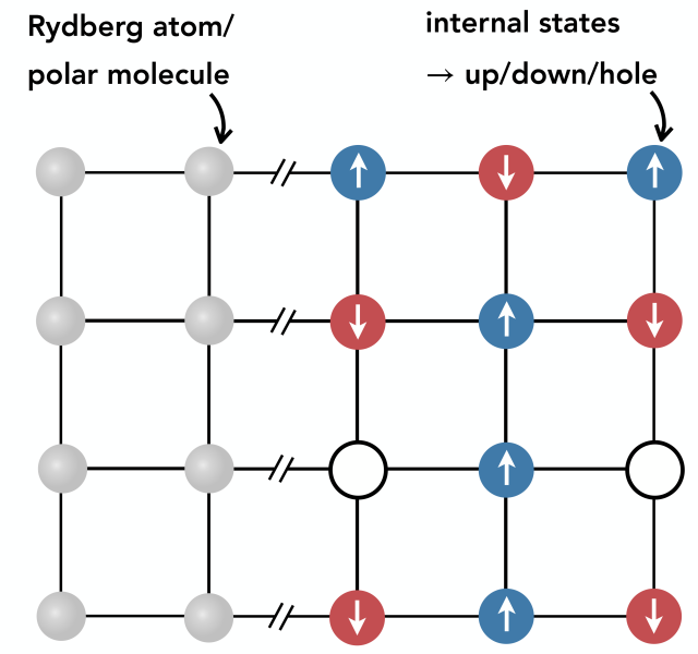 Rydberg atoms or polar molecules are trapped in an optical tweezer array (gray circles). Three internal states are used to emulate an antiferromagnetic t-J model, which is a theoretical toy model to describe strongly correlated electrons. This Graphic showing how Rydberg atoms or polar molecules are trapped in an optical tweezer array.