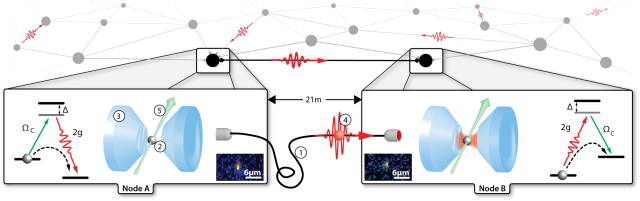 Rempe_Fig2_QuantumNetwork